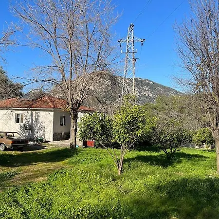 Iztuzu Plajina 3km Uzaklikta,sevimli, Sicak Muestakil Koey Evi Hotel *